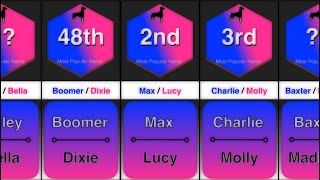 Top 50 Most Popular Dog Names (Male & Female)