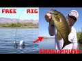 Going All In For Clear Water River Smallmouth! Fishing The Free Rig!