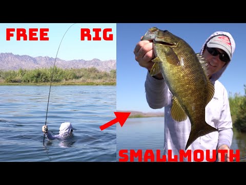 Going All In For Clear Water River Smallmouth! Fishing The Free Rig! 
