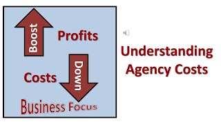 Understanding Agency Costs