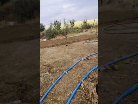 تصوير لمزرعة عرمان بيك أحياء المزرعه من جديد