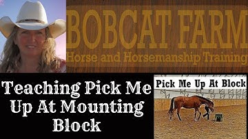 Teaching Pick Me Up At Mounting Block