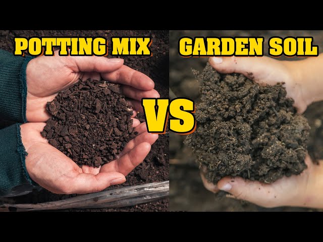 What Is the Difference Between Compost and Potting Soil?