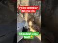 Police laktlakloh tak mai chuh😂