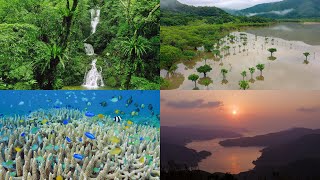 4K] 祝！世界遺産登録 奄美大島の自然絶景 Spectacular natural