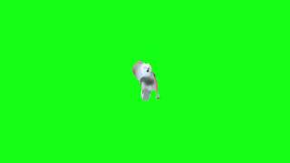 Skibidi Dog Toilet (Free Green Screen)