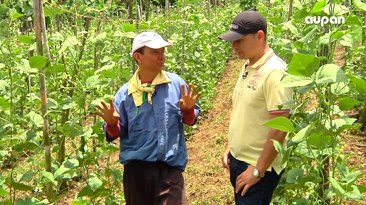 LA GRANJA  HABICHUELA   04 DE ABRIL DE 2019