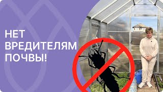 Лучшее средство от почвенных вредителей!