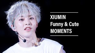EXO Xiumin Funny & Cute Moments