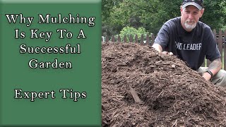 Why Mulching is Key to a Successful Garden: Expert Tips