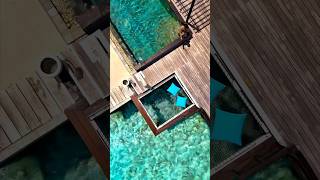 Самая дешевая страна для отдыха! #travel #турыонлайн #путешествия #тревелвлог #отдых #море #азия Самая дешевая страна для отдыха! #travel #турыонлайн #путешествия #тревелвлог #отдых #море #азия