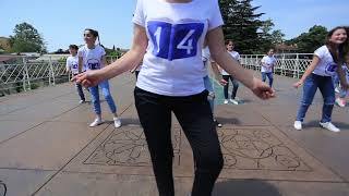 FLASH MOB 14 სკოლა