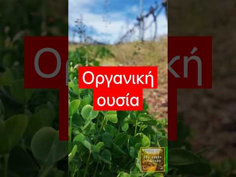 Οργανική ουσία εδάφους