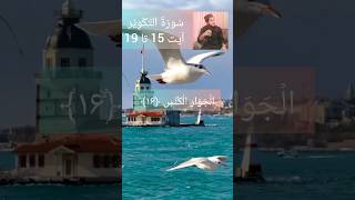 voice of quran #short #youtubeshorts #surah #At-Takwir