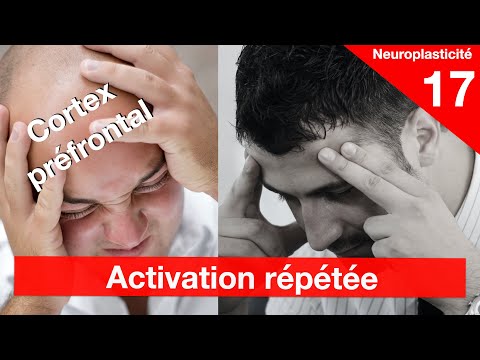 Diminuer la charge du cortex préfrontal