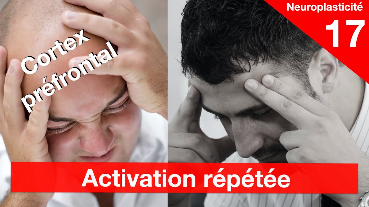 Diminuer la charge du cortex préfrontal