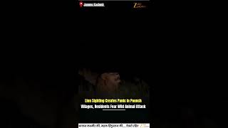 Lion Sighting Creates Panic in Poonch Villages, Residents Fear Wild Animal Attack | JK News