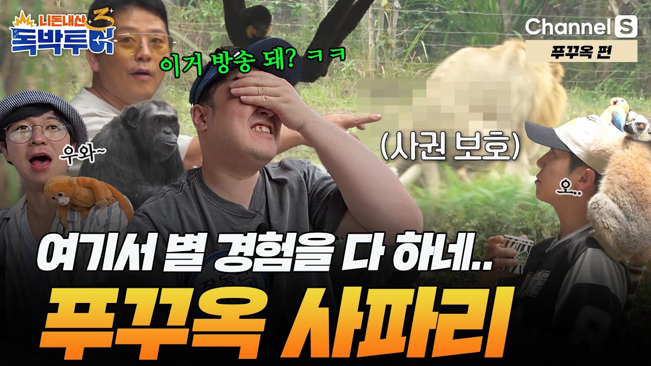 [Ep.32-2] 이거 방송 나가도 돼..? 별의별 경험을 다 하는 푸꾸옥 사파리 투어 [#독박투어3] #푸꾸옥 | 시즌3