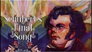Schubert's Saddest Song - Der Leiermann