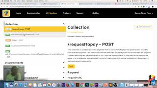 MTN API Integration part 5_Postman_creating a token