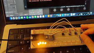 digital lab week 5
