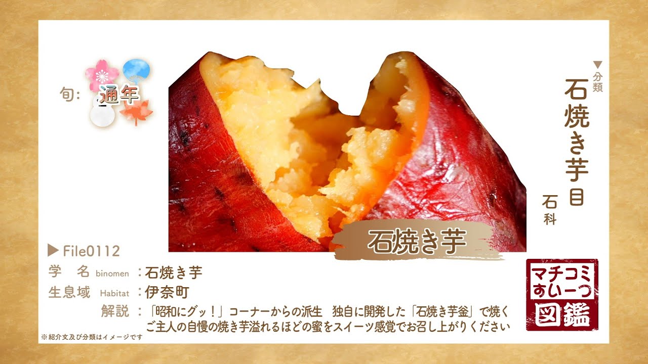 大きな 焼き芋器 プロパンガス用 売れてます 焼きいも ねっとり