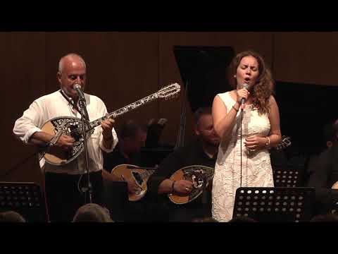 ΘΑΝΑΣΗΣ ΠΟΛΥΚΑΝΔΡΙΩΤΗΣ -
