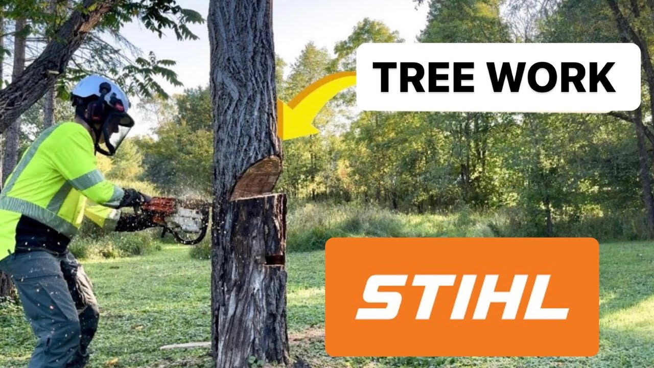 Property Tree Work - YouTube