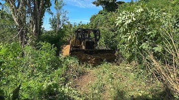Plantation Road Optimization with D6R XL Bulldozer Service