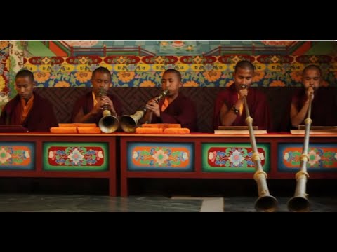 Vídeo: Mcleod Ganj: llar de la comunitat tibetana a l'Índia