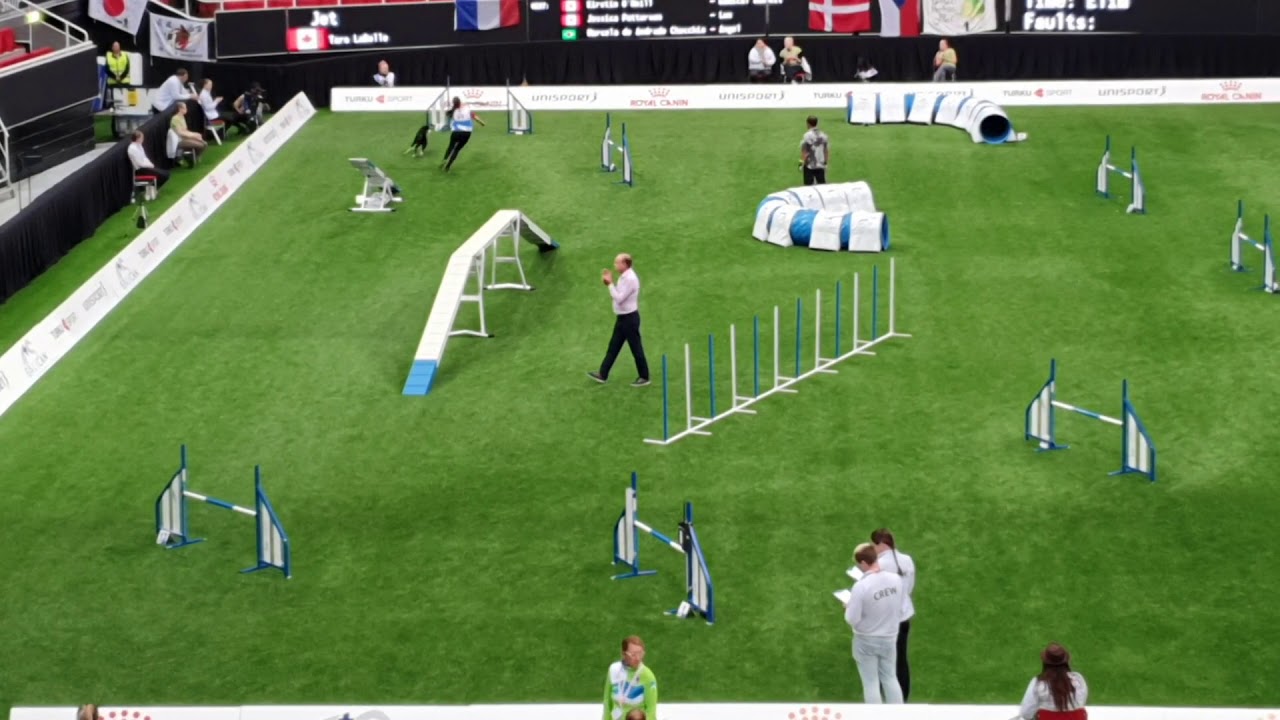 CANADA Large TEAM AGILITY AWC 2019 YouTube