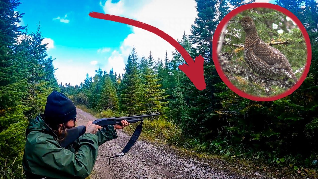 ЭПИЧЕСКАЯ охота на куропаток и исследование заброшенного отдаленного лагеря!
