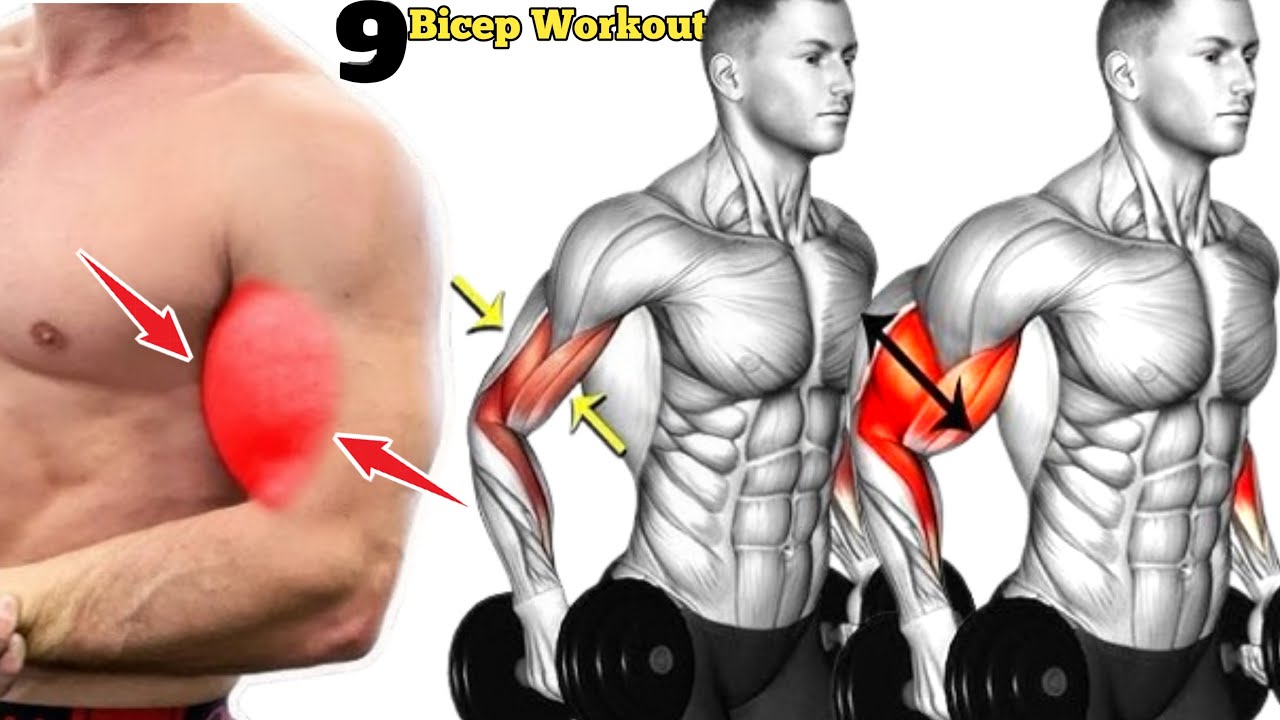 9 Best Effective Bicep Workout || Bicep Exercises