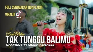 VIRAL TIKTOK,TAK TUNGGU BALIMU COVER RISA MILLEN CS CAMASUTRA MUSIK KERASSS