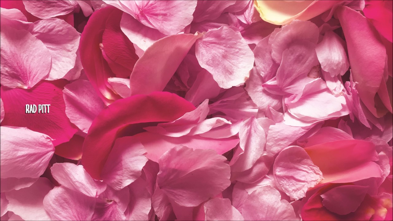 Watch RAD PITT - Pink (2017) Full Album on YouTube Watch RAD PITT - Pink (2017) Full Album on YouTube