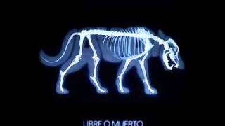 1.- Niños De Cristal - Jauría (Libre  o Muerto)