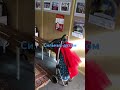 "Блаженны милостивые, ибо они помилованы будут...":Харьков: тепло