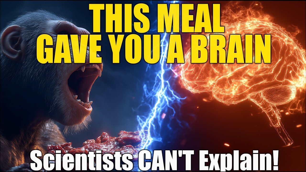 When Australopithecus Met Fire — The Wildfire That Changed Their Brains ...