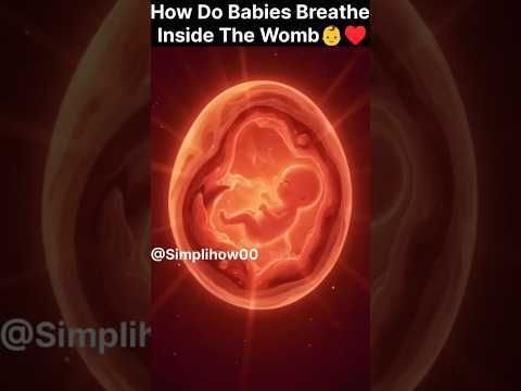 How Do Babies Breathe Inside The Womb?👶♥️ |#viral #trending #shorts