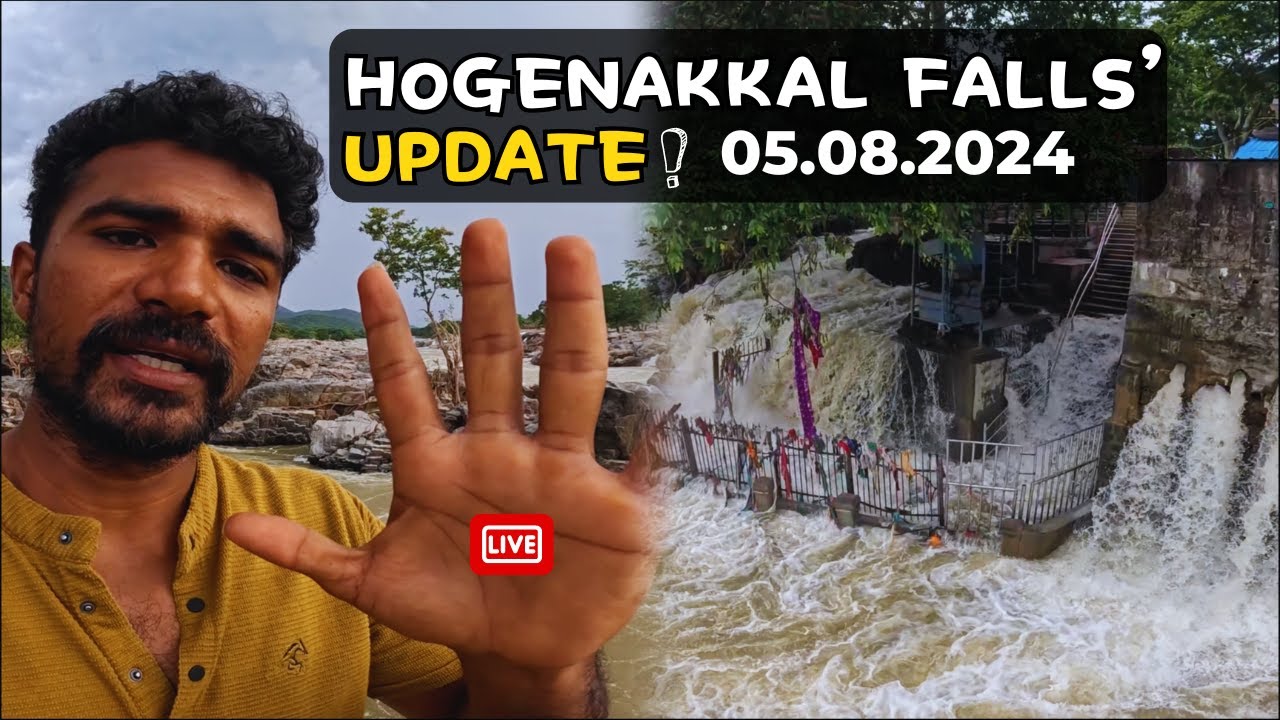 Hogenakkal 💦Falls Today💯 | Water Level👎 | Vlog-6 #status #update #today #hogenakkal #waterfalls