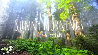 Peder B. Helland - Sunny Mornings (Radio Edit) Resimi
