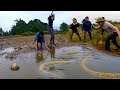 5 Brave Experts Share Their CLOSE ENCOUNTER with a Huge Python