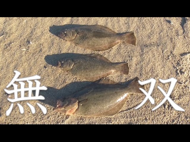 サーフにこれだけは持っていけ。ヒラメ・青物を狂わす絶対押さえておき