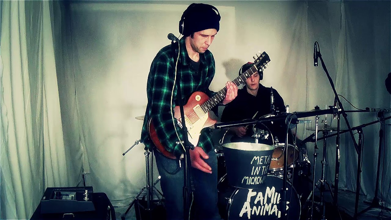 Family Animals - Metal in the Microwave (Live in the Basement)