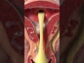 "Is Your Vaginal Discharge Normal? Here’s How to Tell 👀""Different