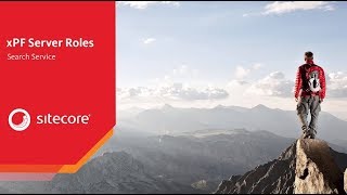 xConnect and XP Services - Search Service