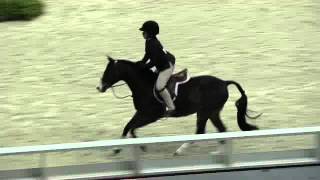 Video of HIDDEN GALAXY ridden by CAMERON GLASSMAN from ShowNet!