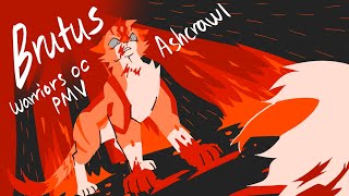 Brutus | Ashcrawl PMV | Warriors OCs | To Morrow