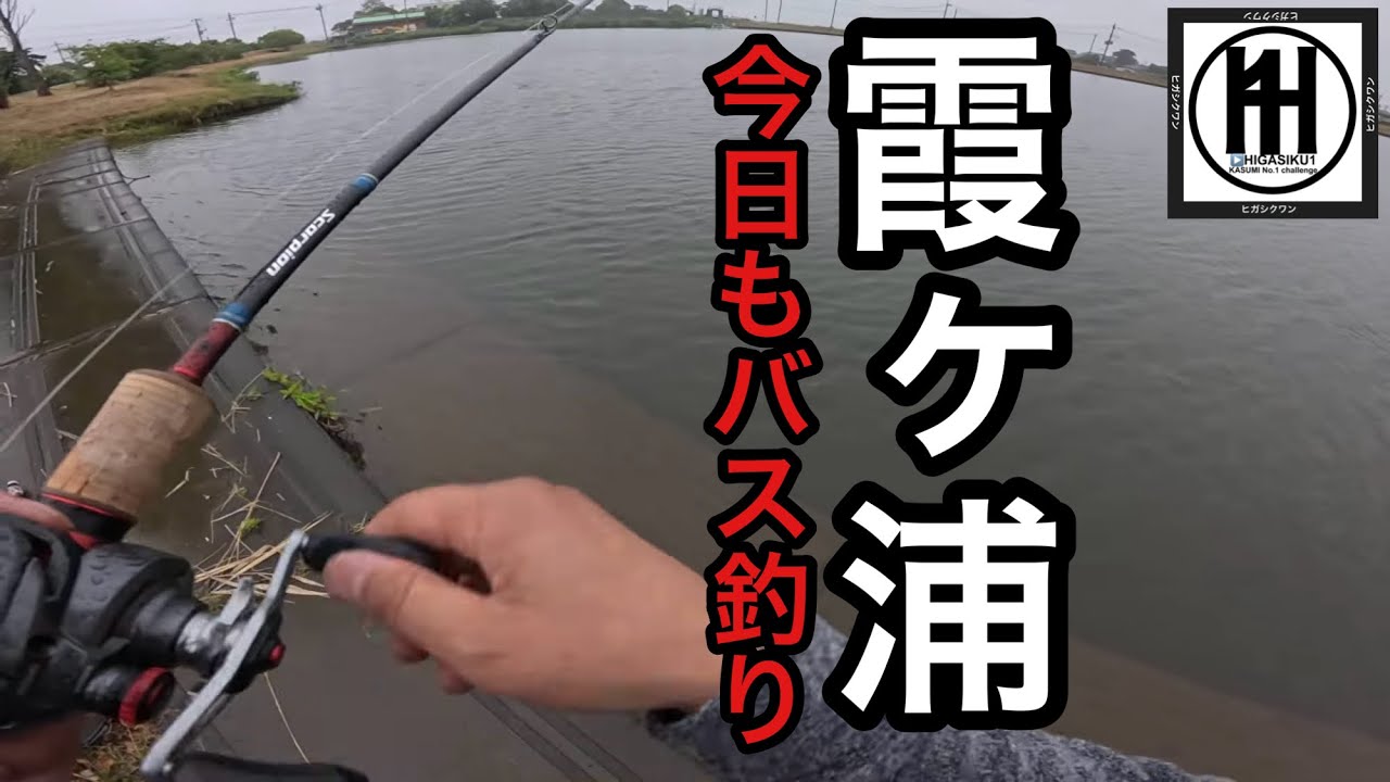 バス釣り霞ヶ浦！雨パワー信じてトップウォーターDUOレアリスバズベイト2026年6月26日
