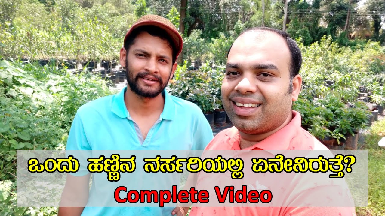ಇಲ್ಲಿ 50 ಕ್ಕೂ ಹೆಚ್ಚು ತಳಿಯ ಹಲಸಿನ ಗಿಡಗಳಿವೆ  Ankur Farm Ripponpet Complete Guide [Kannada Vlogs]